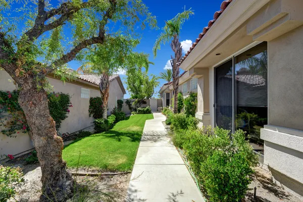 a view of a house with a small yard plants and large tree
