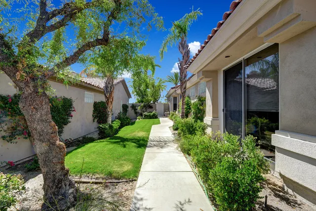 a view of a house with a small yard plants and large tree