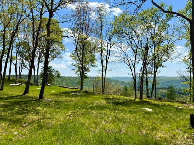 125 Mapes Road Barryville, NY 12719 - Photo 26 of 37 a view of an outdoor space with a lake view