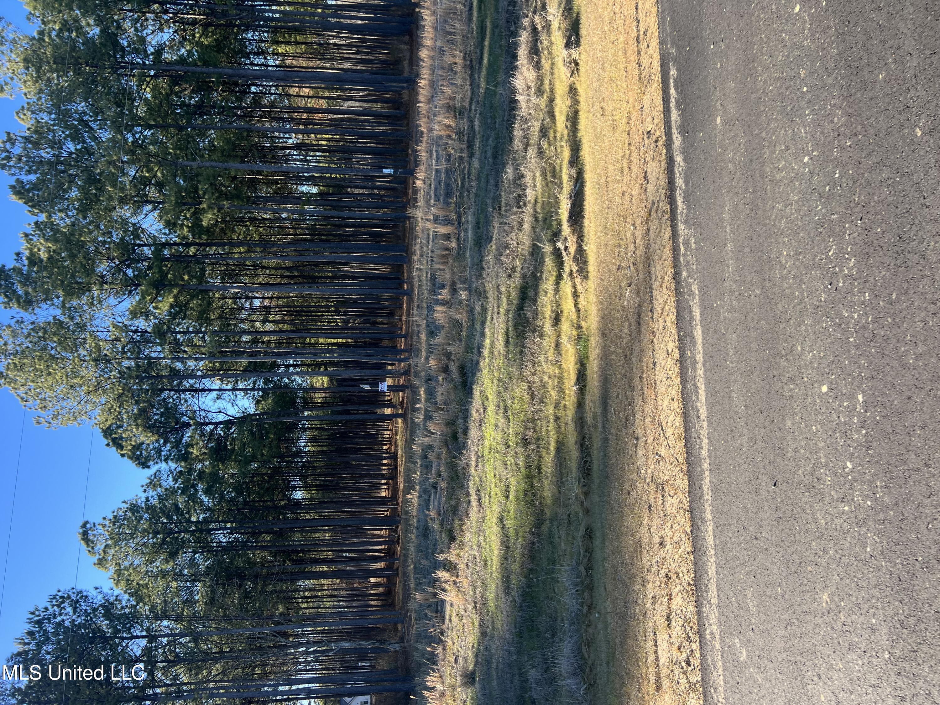 585 Stump Ridge Road Brandon, MS 39047 - Photo 1 of 3 Road Frontage