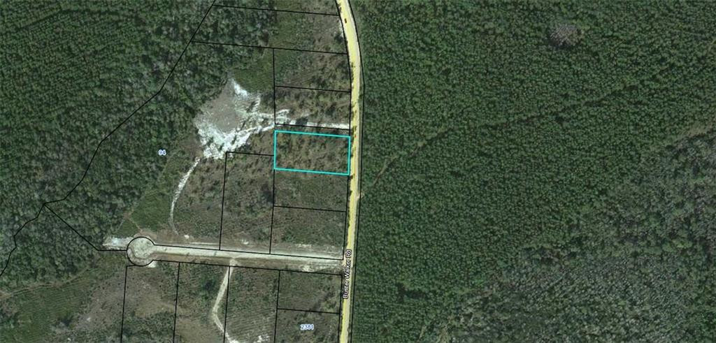 Lot 68 Buster Walker Road, Unit 68 Waynesville, GA 31566 - Photo 1 of 1