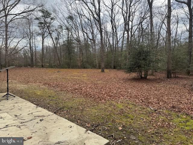 9285 Old Stagecoach Road La Plata, MD 20646 - Photo 13 of 14 a backyard of a house with lots of green space