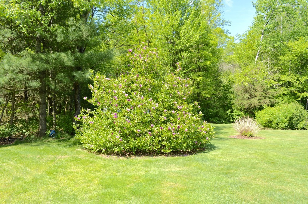 66 Zuell Hill Road Monson, MA 01057 - Photo 5 of 25 a view of yard with green space
