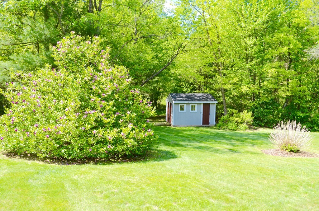 66 Zuell Hill Road Monson, MA 01057 - Photo 6 of 25 a view of a big yard with large trees