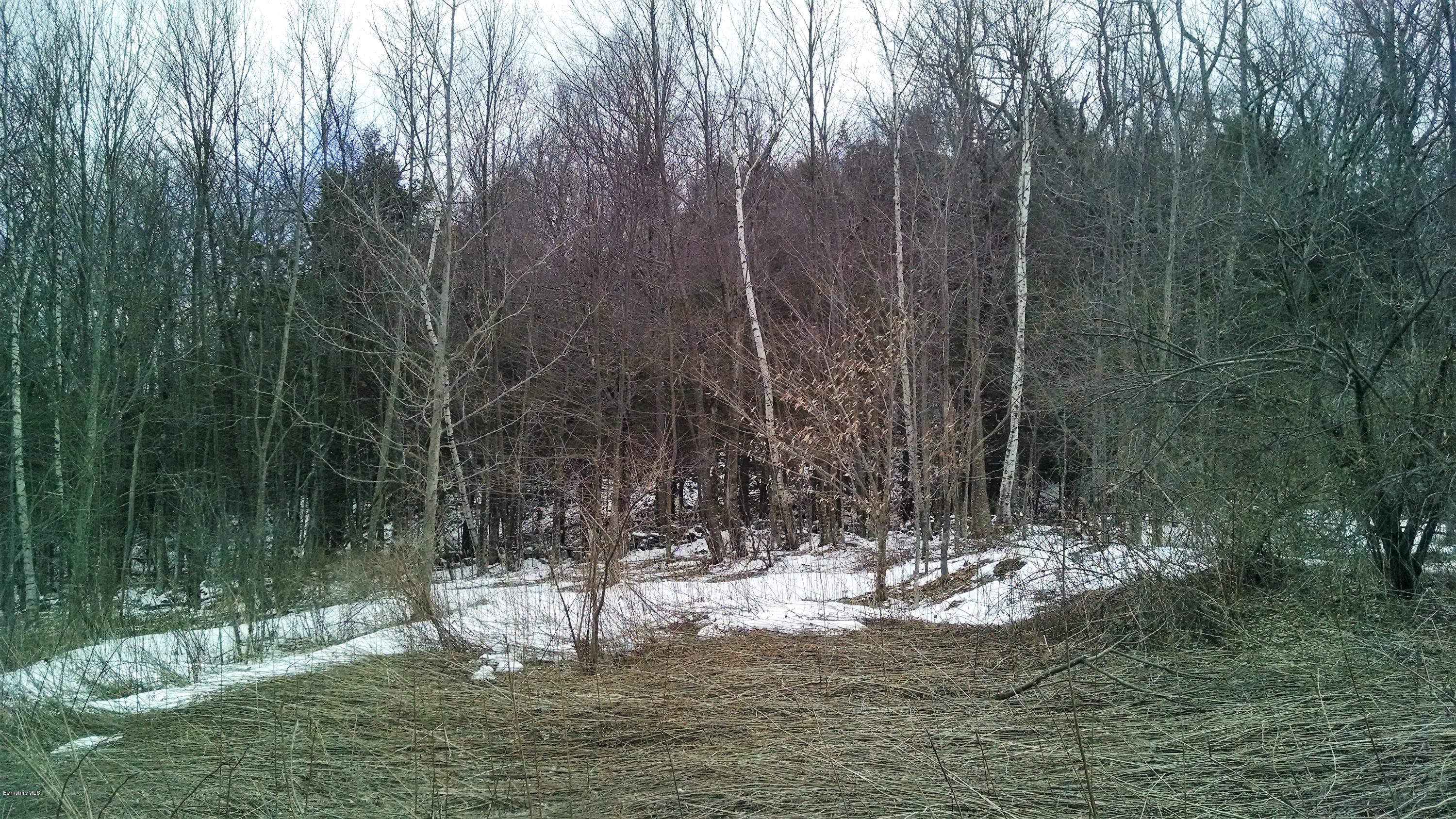 1042 Williamsburg Road Ashfield, MA 01330 - Photo 15 of 21 14