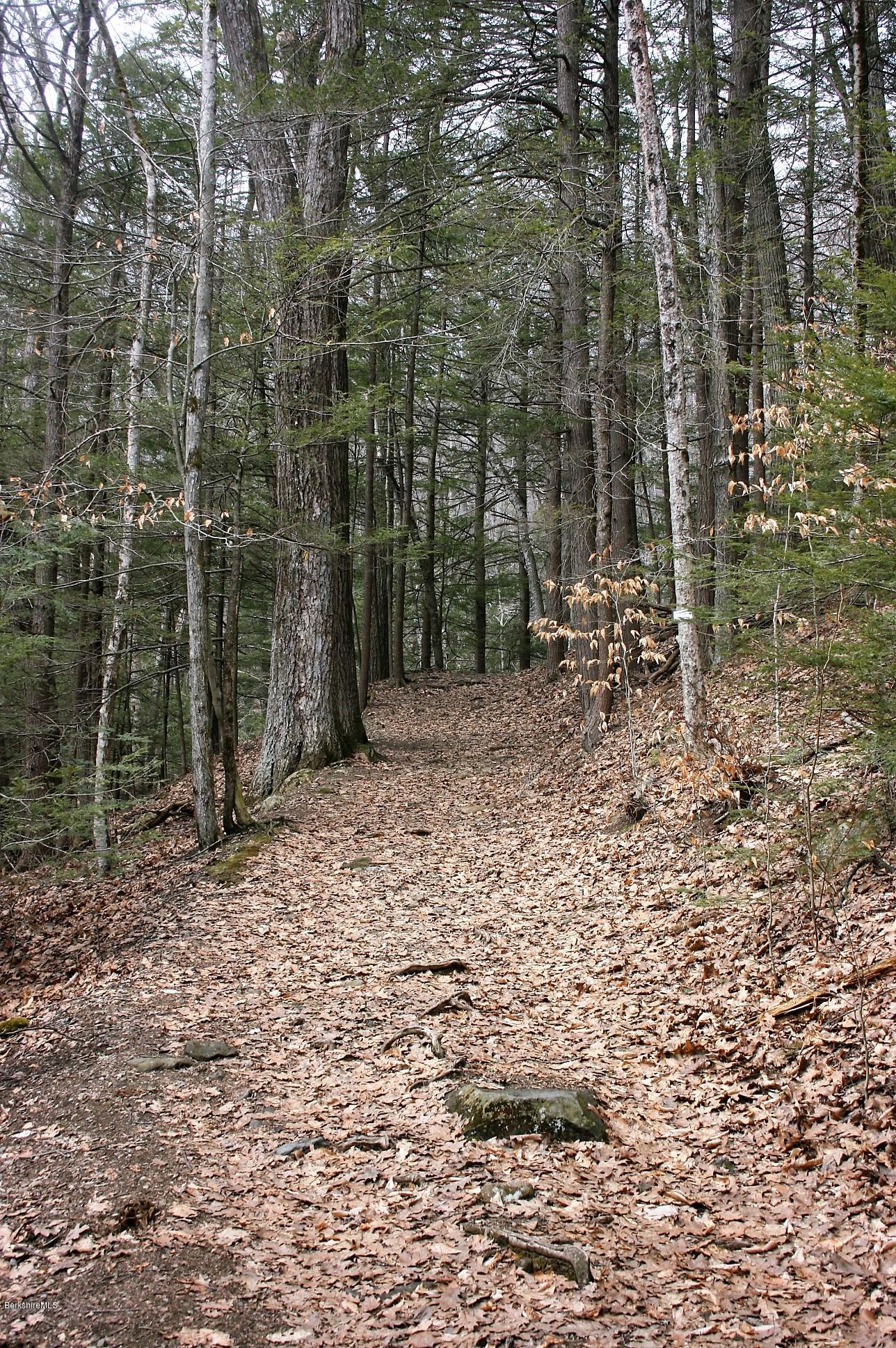 1042 Williamsburg Road Ashfield, MA 01330 - Photo 20 of 21 19