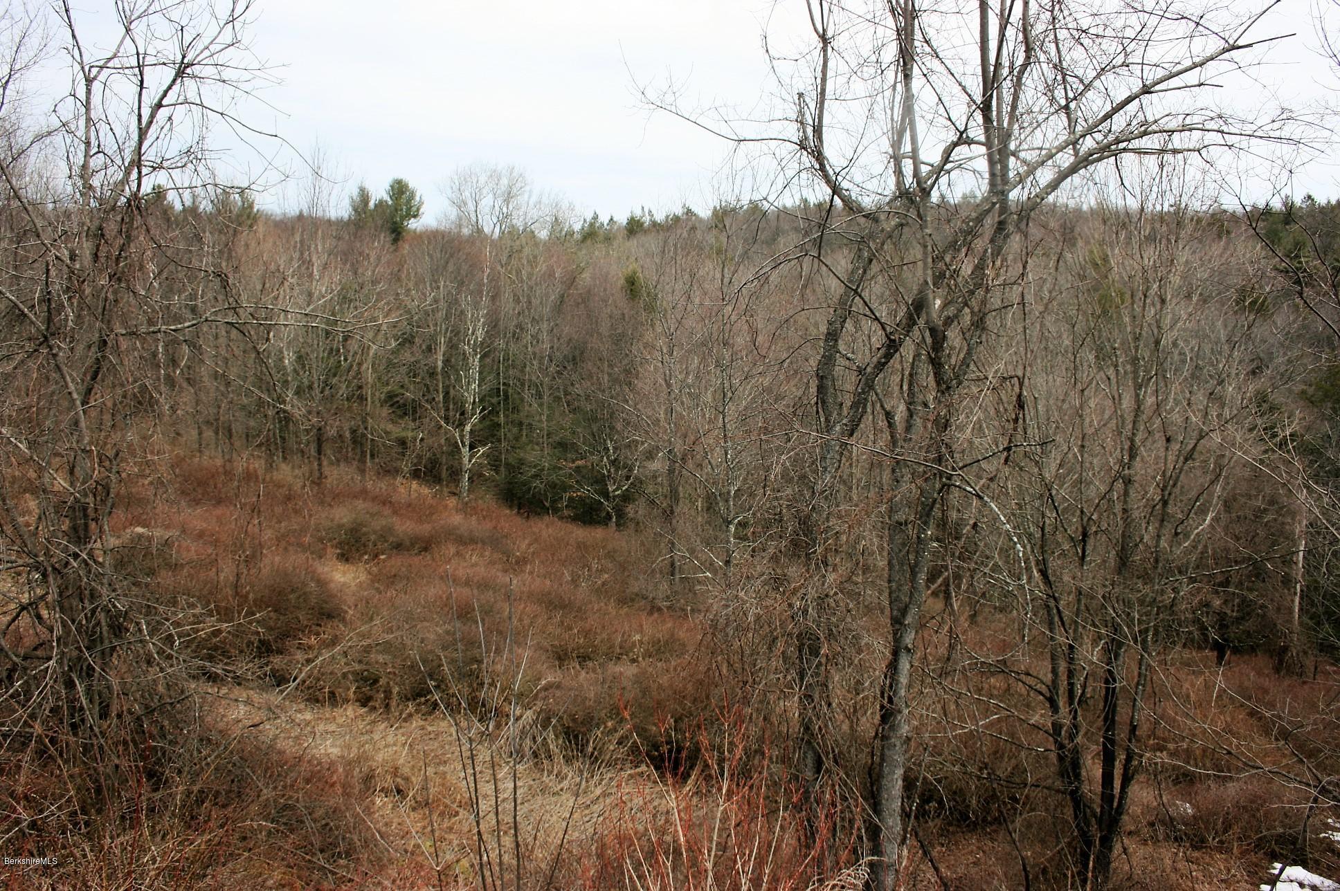 1042 Williamsburg Road Ashfield, MA 01330 - Photo 8 of 21 7