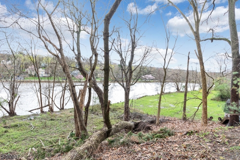 153 Stirling Road Watchung, NJ 07069 - Photo 3 of 31 a view of forest