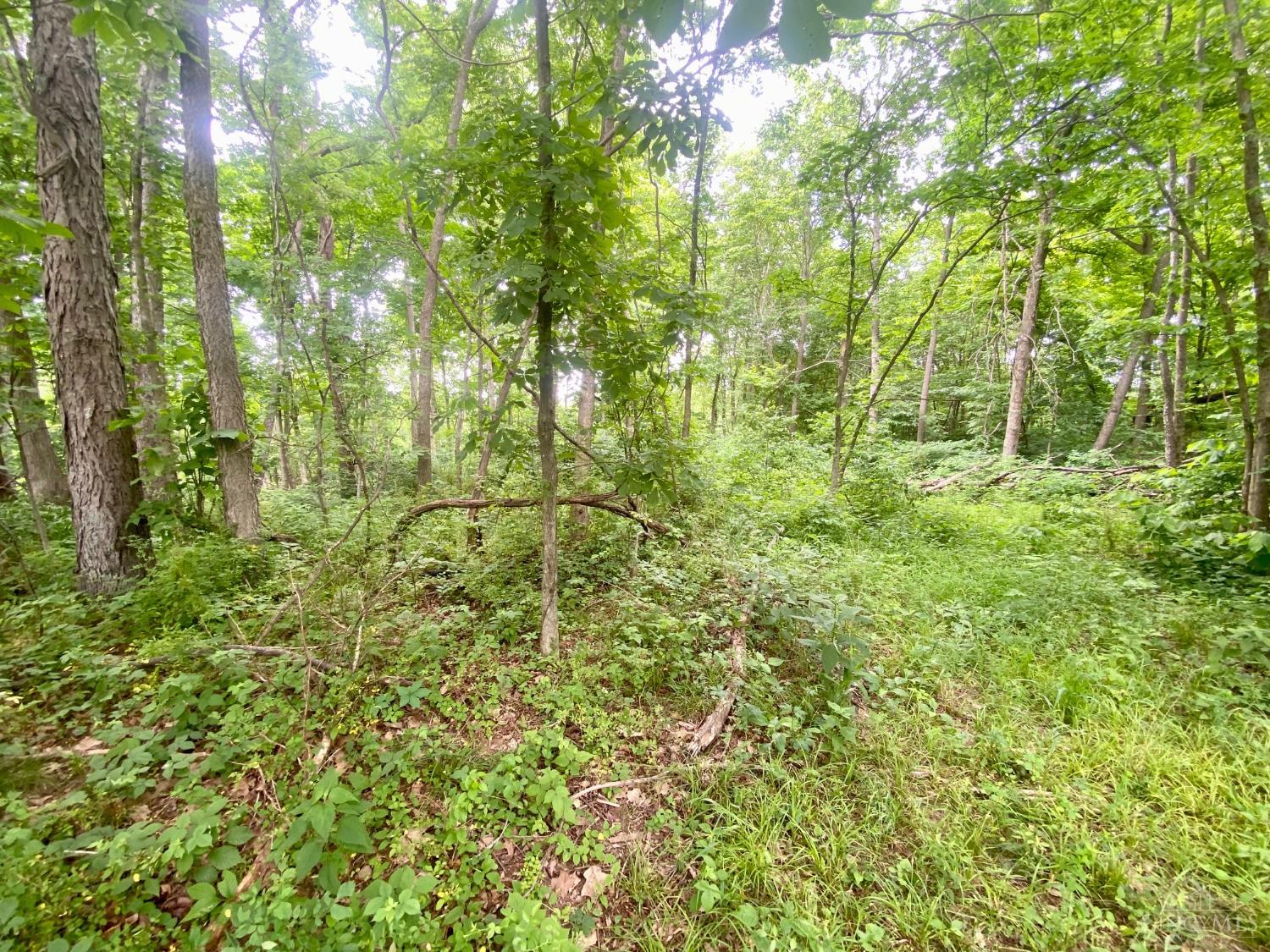 400 Lynn Morgan Road Seaman, OH 45679 - Photo 9 of 24
