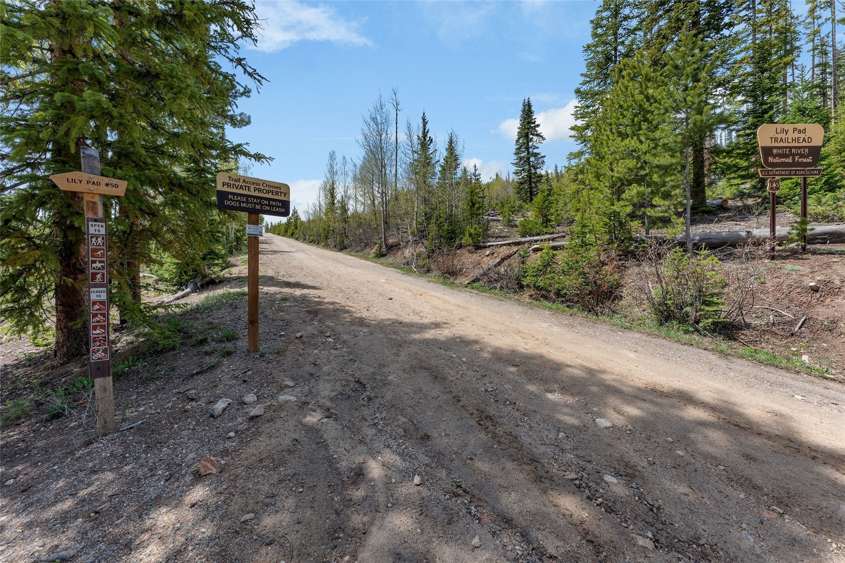 9800 Ryan Gulch Road, Unit 201 Silverthorne, CO 80498 - Photo 30 of 33