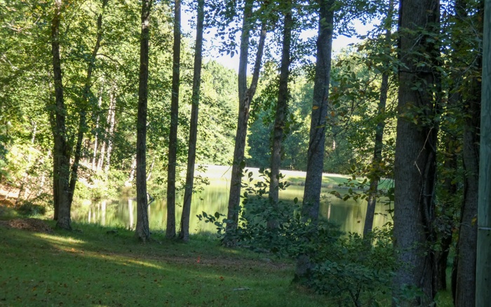 135 Walnut Ridge Ellijay, GA 30536 - Photo 35 of 51 Additional View