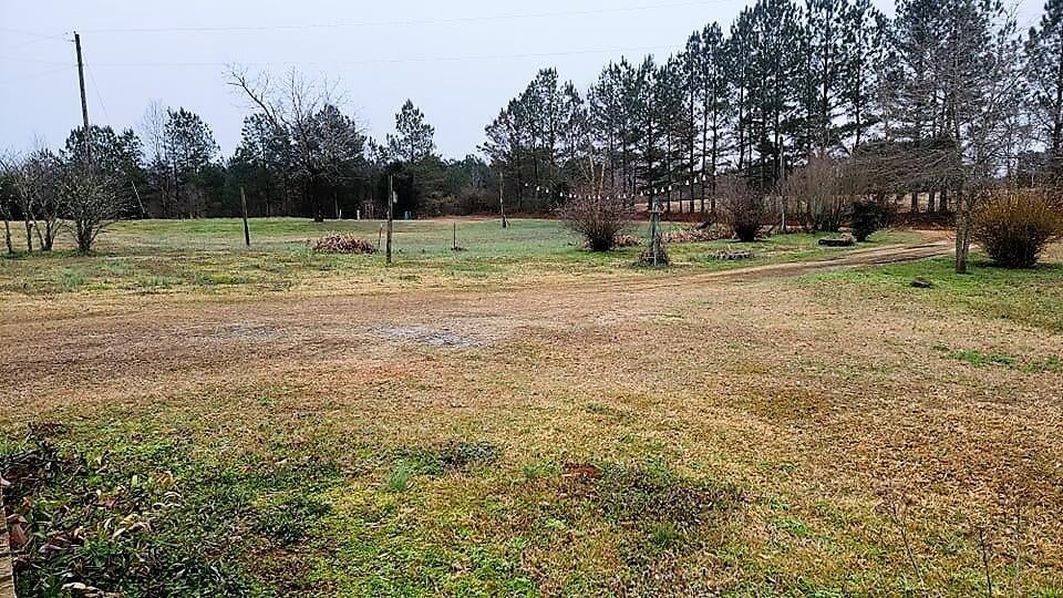 736 Willcutt Road Berry, AL 35546 - Photo 21 of 42 Gallery Image 21