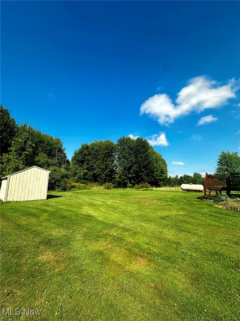 347 Brownville Road Rome, OH 44085 - Photo 7 of 36 View of yard featuring a shed