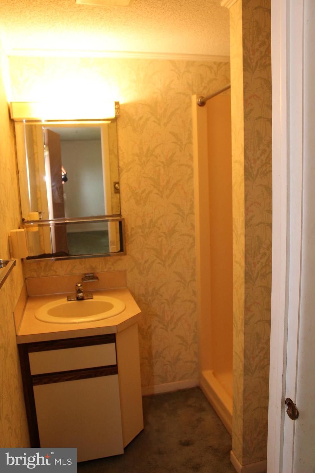 801 Boyle Road Fairfield, PA 17320 - Photo 31 of 38 a bathroom with a sink and a mirror