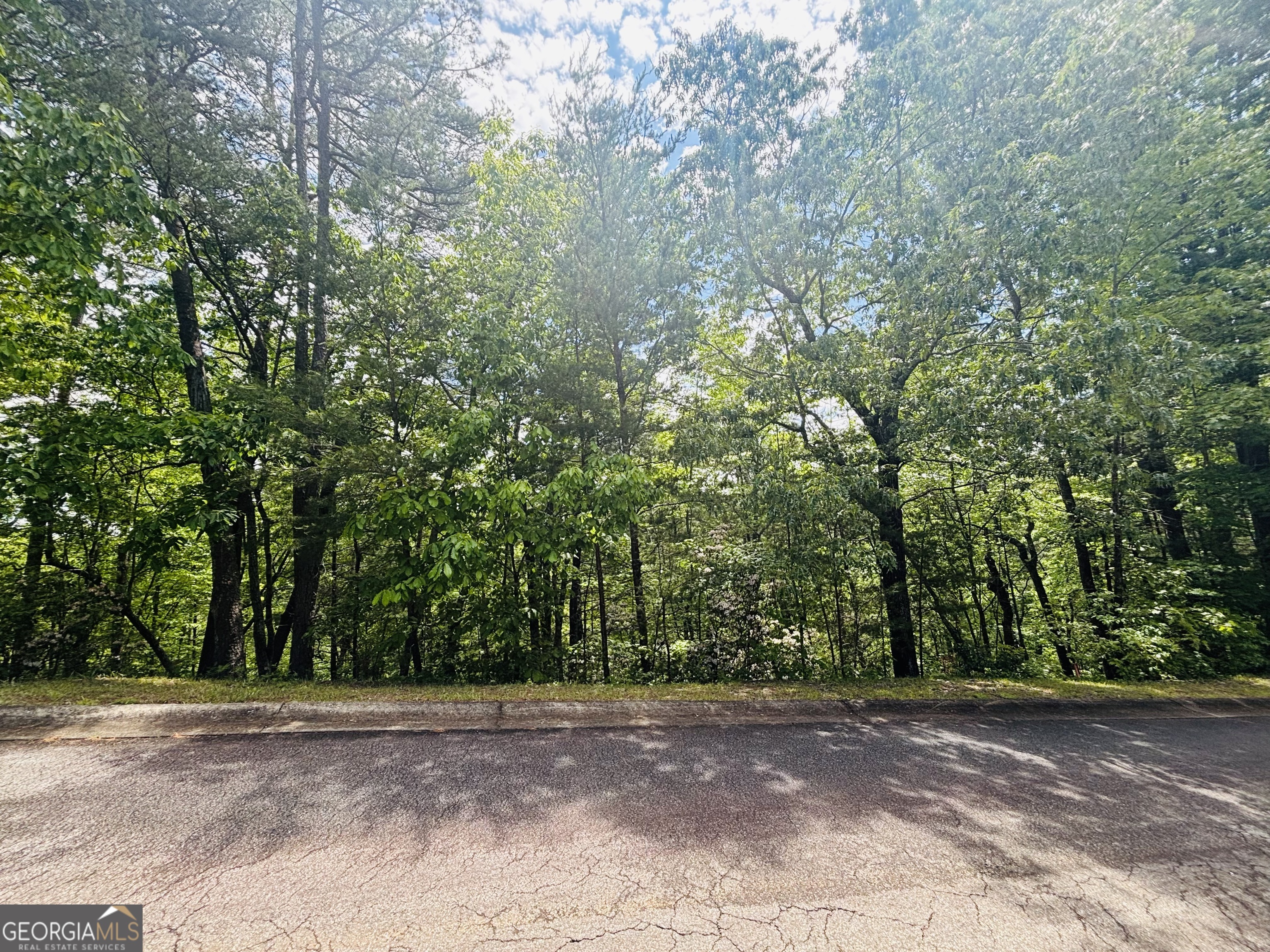 0 Rosen Strasse Helen, GA 30545 - Photo 11 of 11
