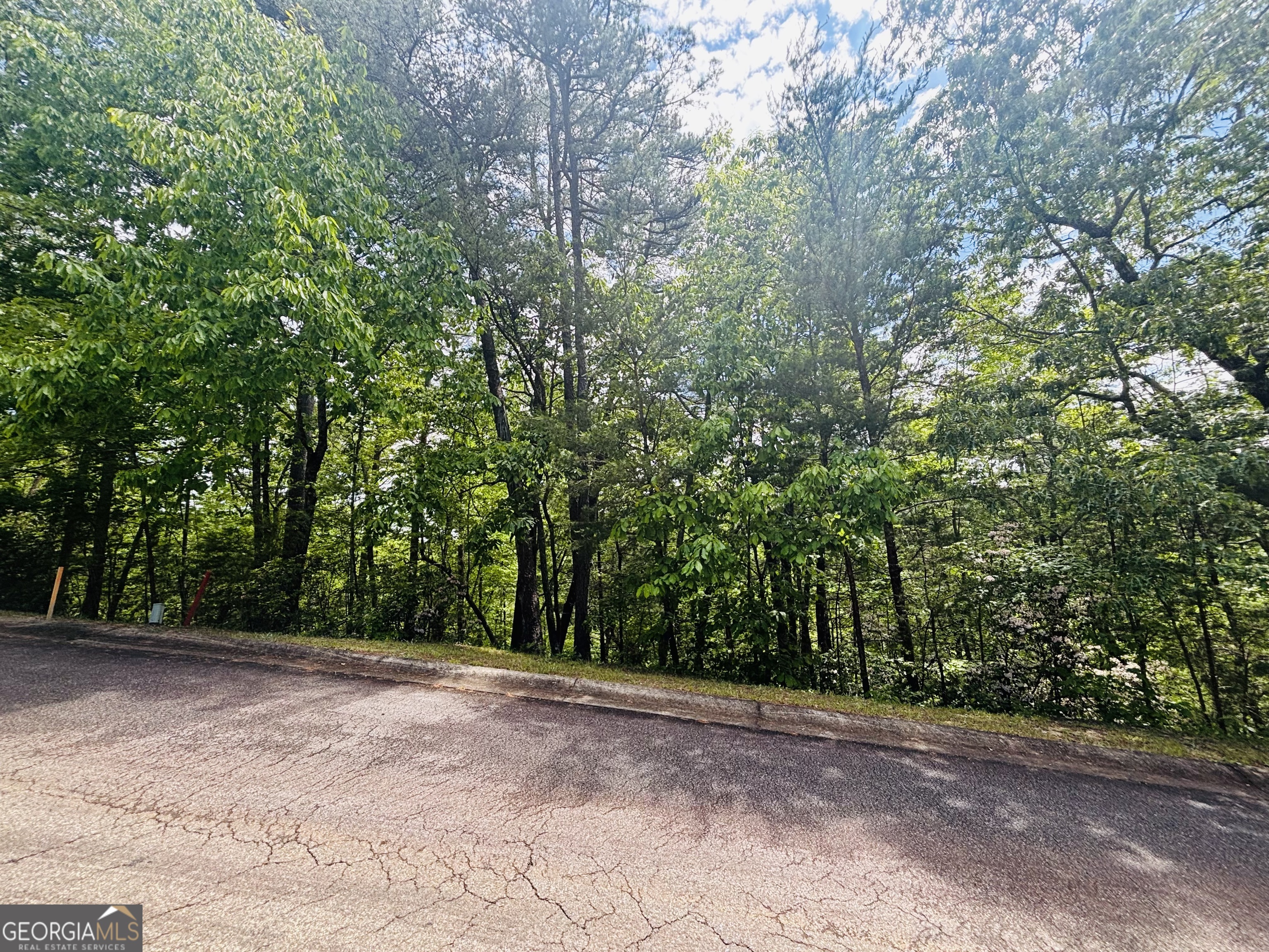 0 Rosen Strasse Helen, GA 30545 - Photo 3 of 11