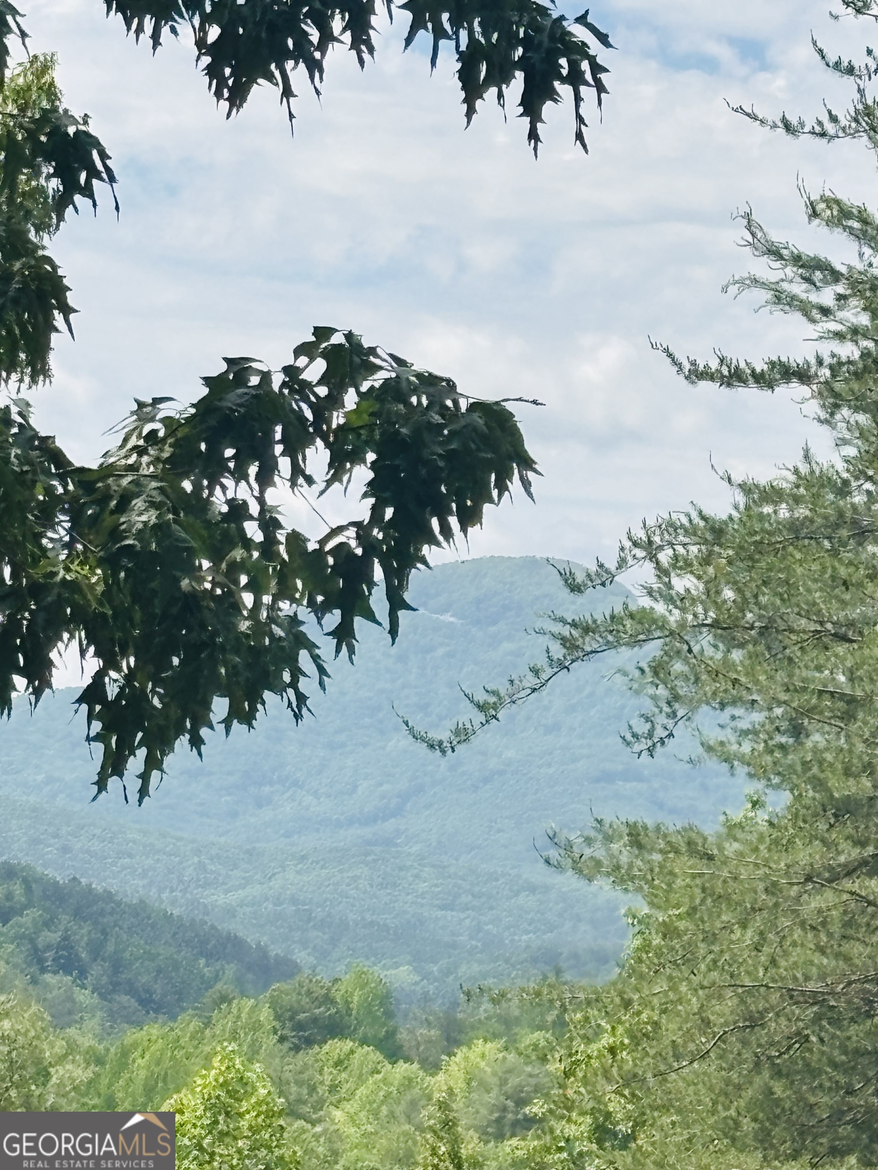 0 Rosen Strasse Helen, GA 30545 - Photo 5 of 11