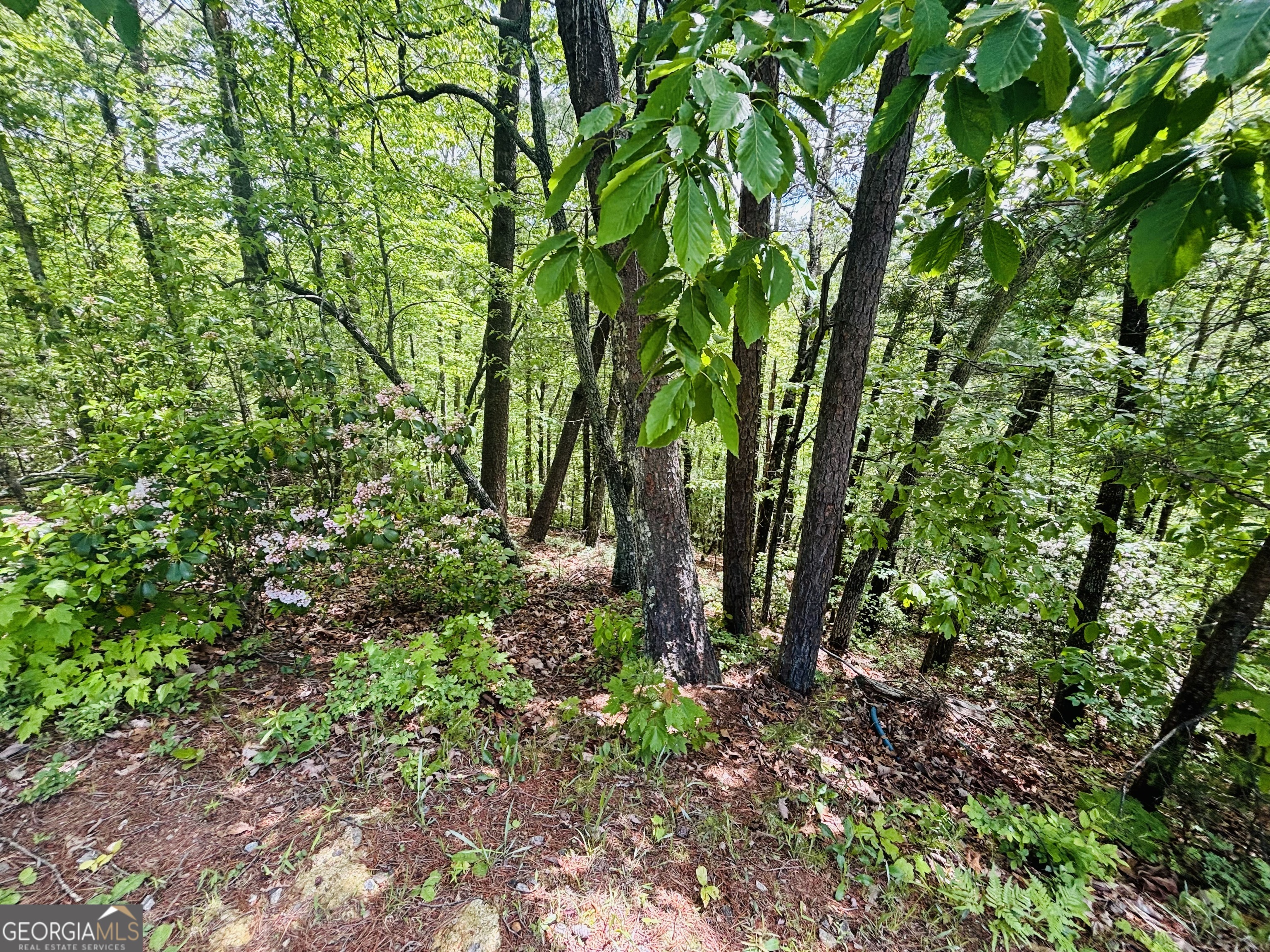 0 Rosen Strasse Helen, GA 30545 - Photo 6 of 11