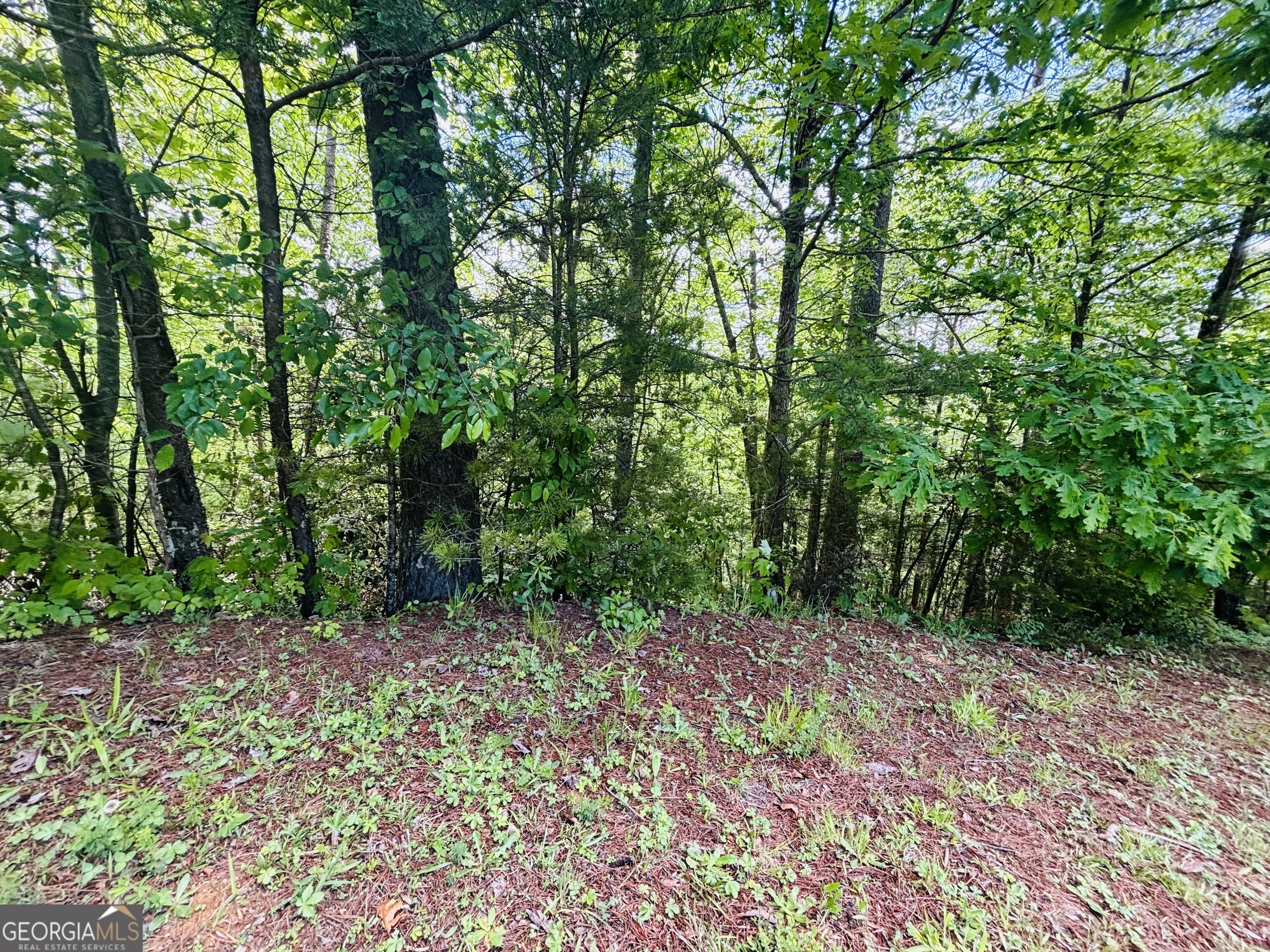 0 Rosen Strasse Helen, GA 30545 - Photo 8 of 11