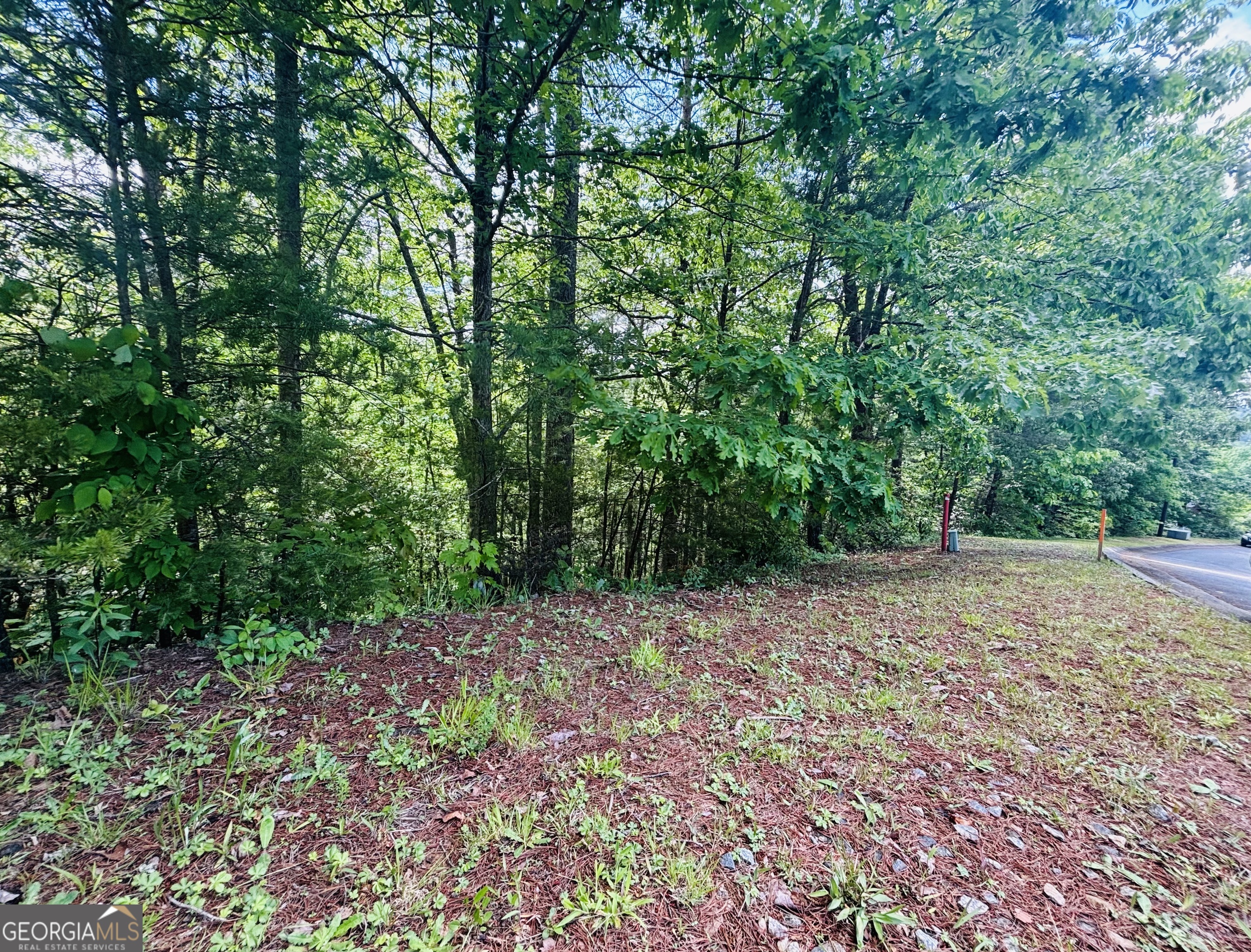 0 Rosen Strasse Helen, GA 30545 - Photo 9 of 11
