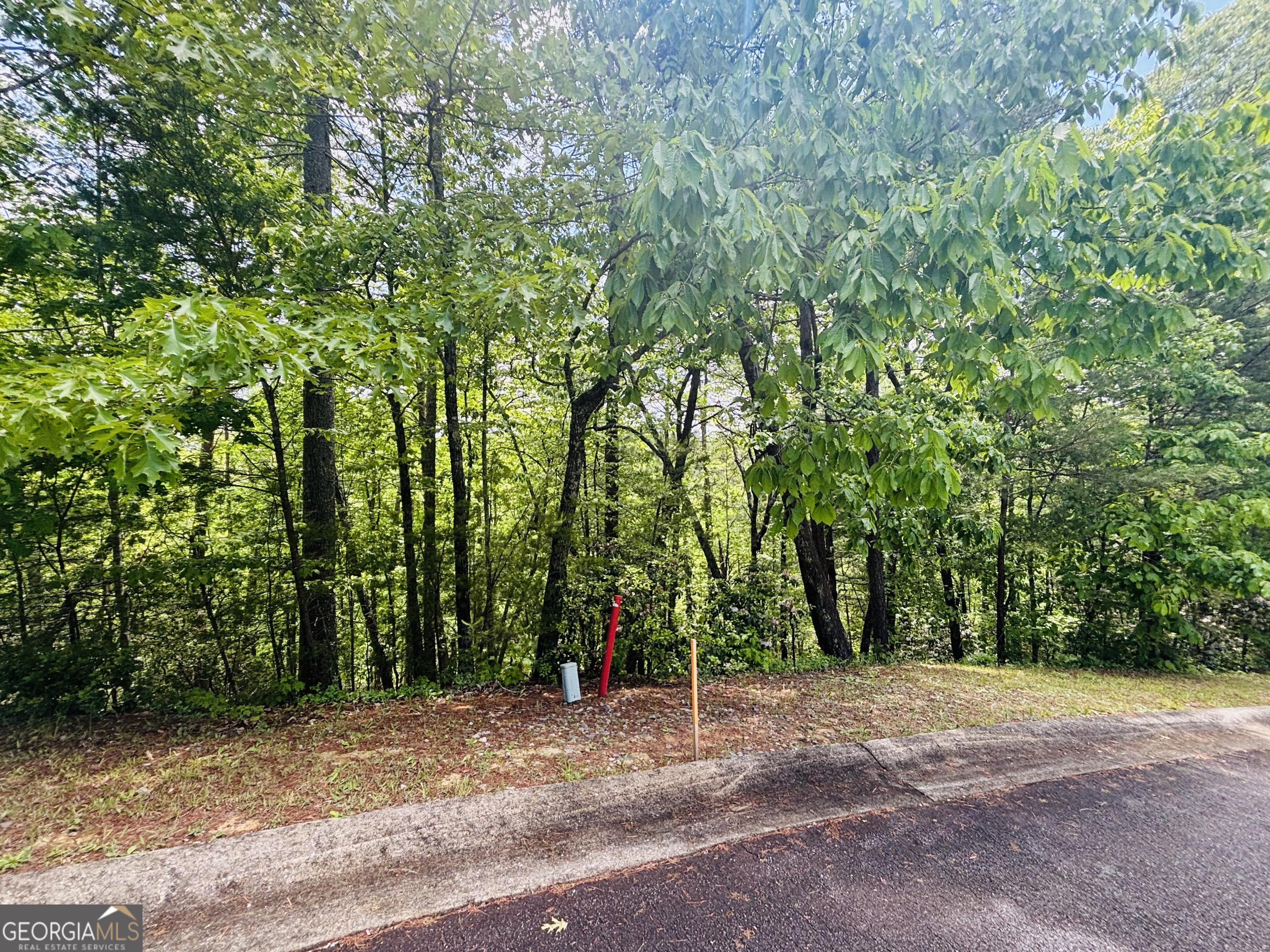 0 Rosen Strasse Helen, GA 30545 - Photo 10 of 11