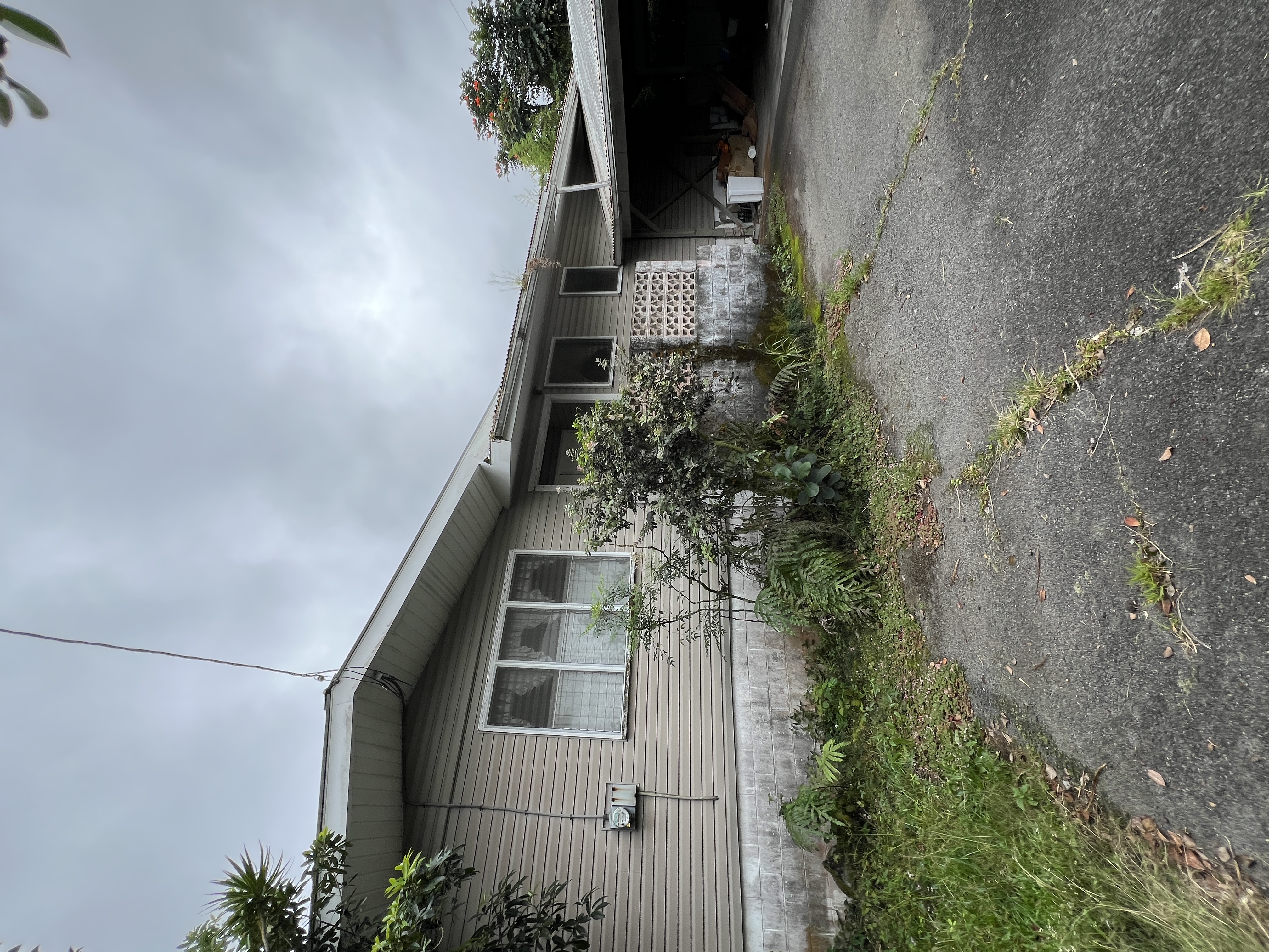 100 Alahelenui Street Hilo, HI 96720 - Photo 1 of 2 a backyard of a house with plants and outdoor seating