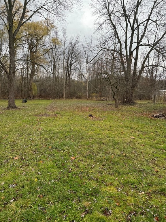 6534 Highway 31 Arcadia, NY 14513 - Photo 3 of 18