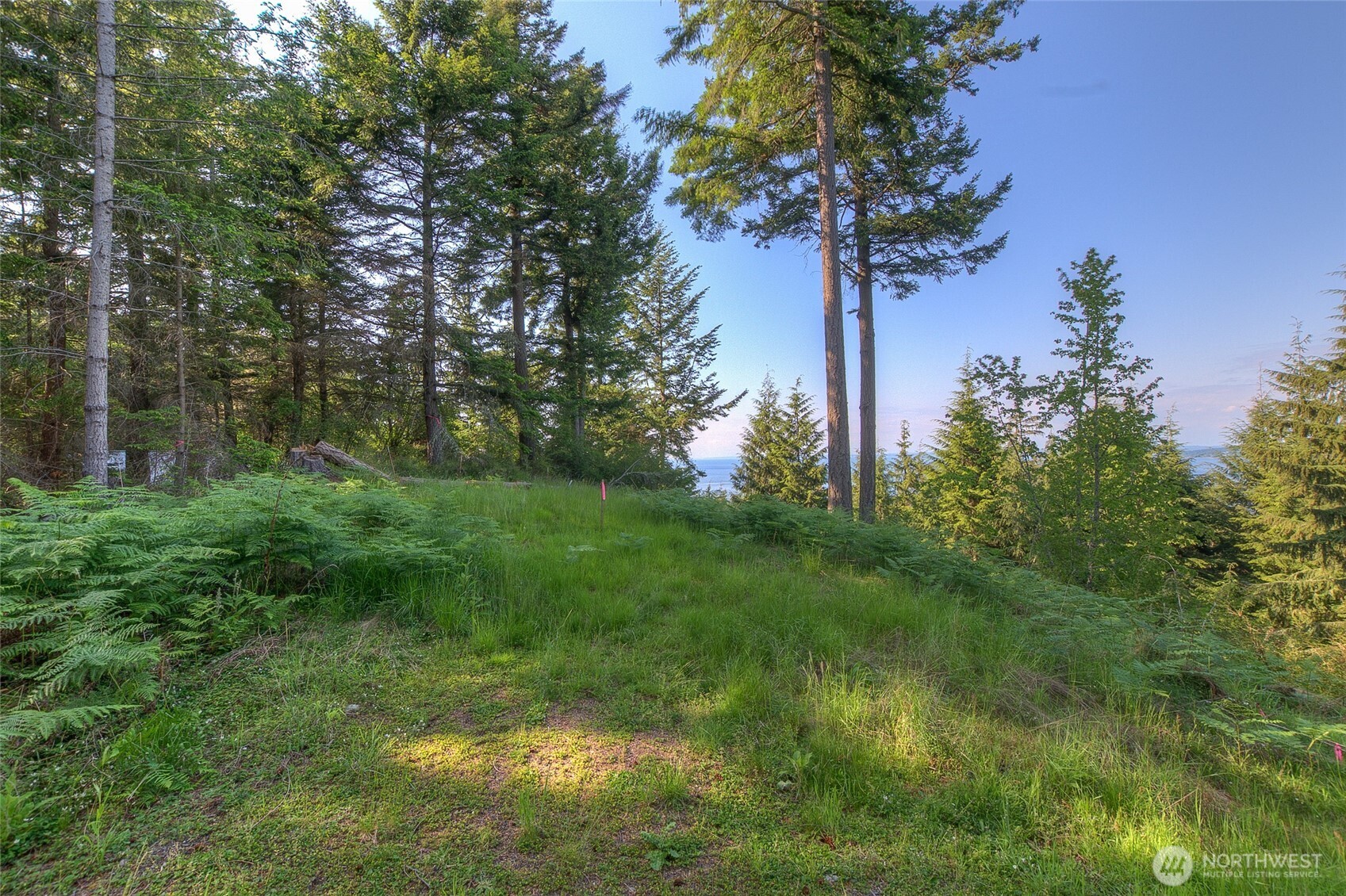 41 Raven Lane Orcas Island, WA 98279 - Photo 2 of 40