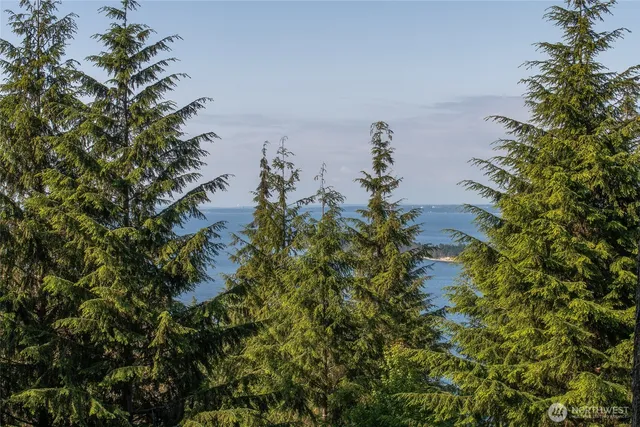 $199,000 | 41 Raven Lane, Orcas Island, WA 98279