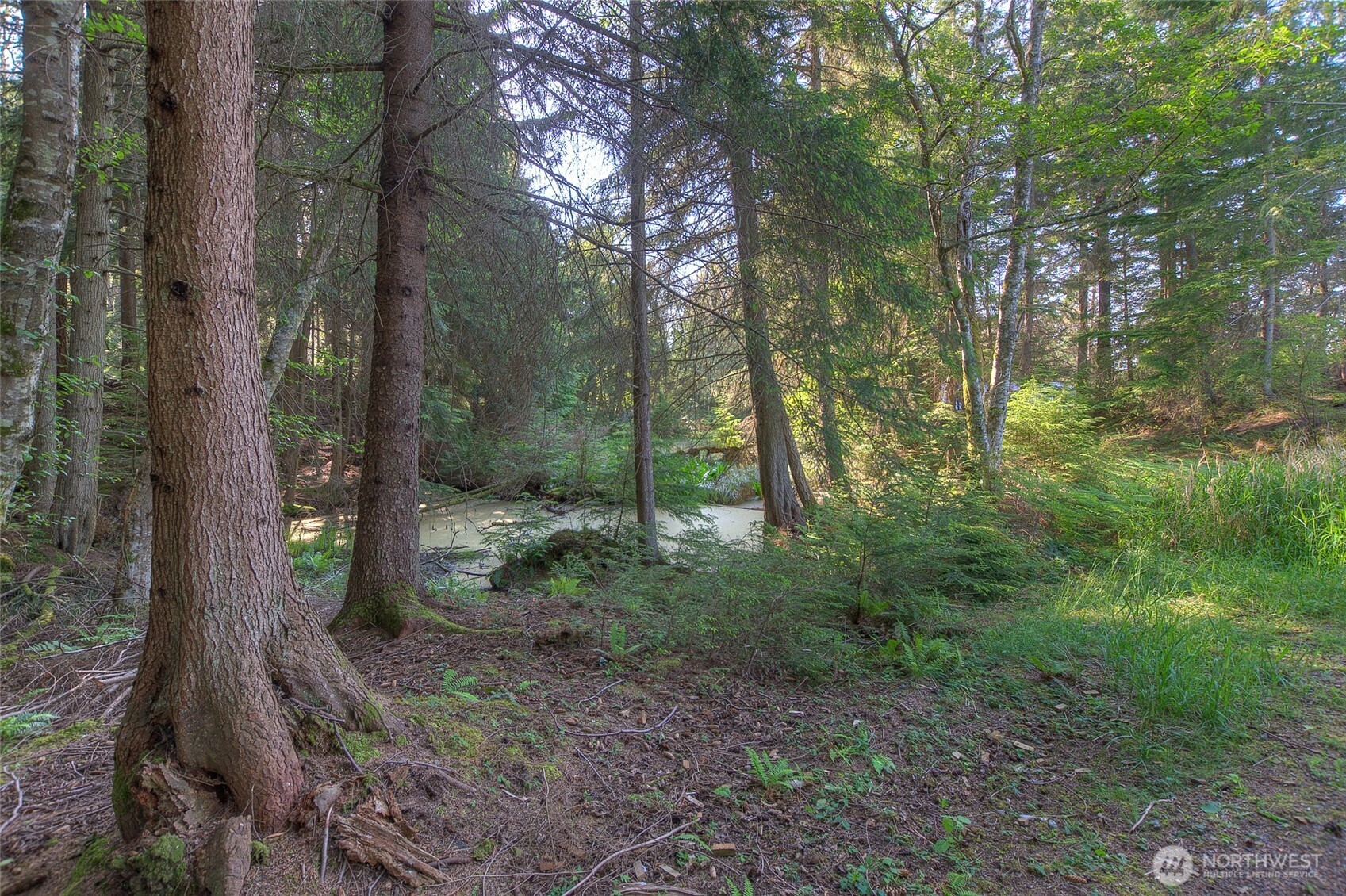 41 Raven Lane Orcas Island, WA 98279 - Photo 37 of 40