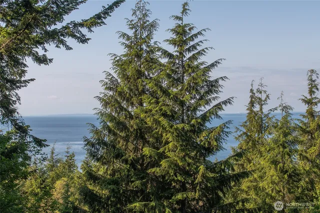 $199,000 | 41 Raven Lane, Orcas Island, WA 98279