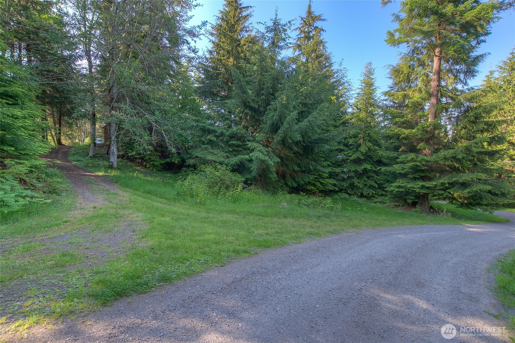 41 Raven Lane Orcas Island, WA 98279 - Photo 9 of 40