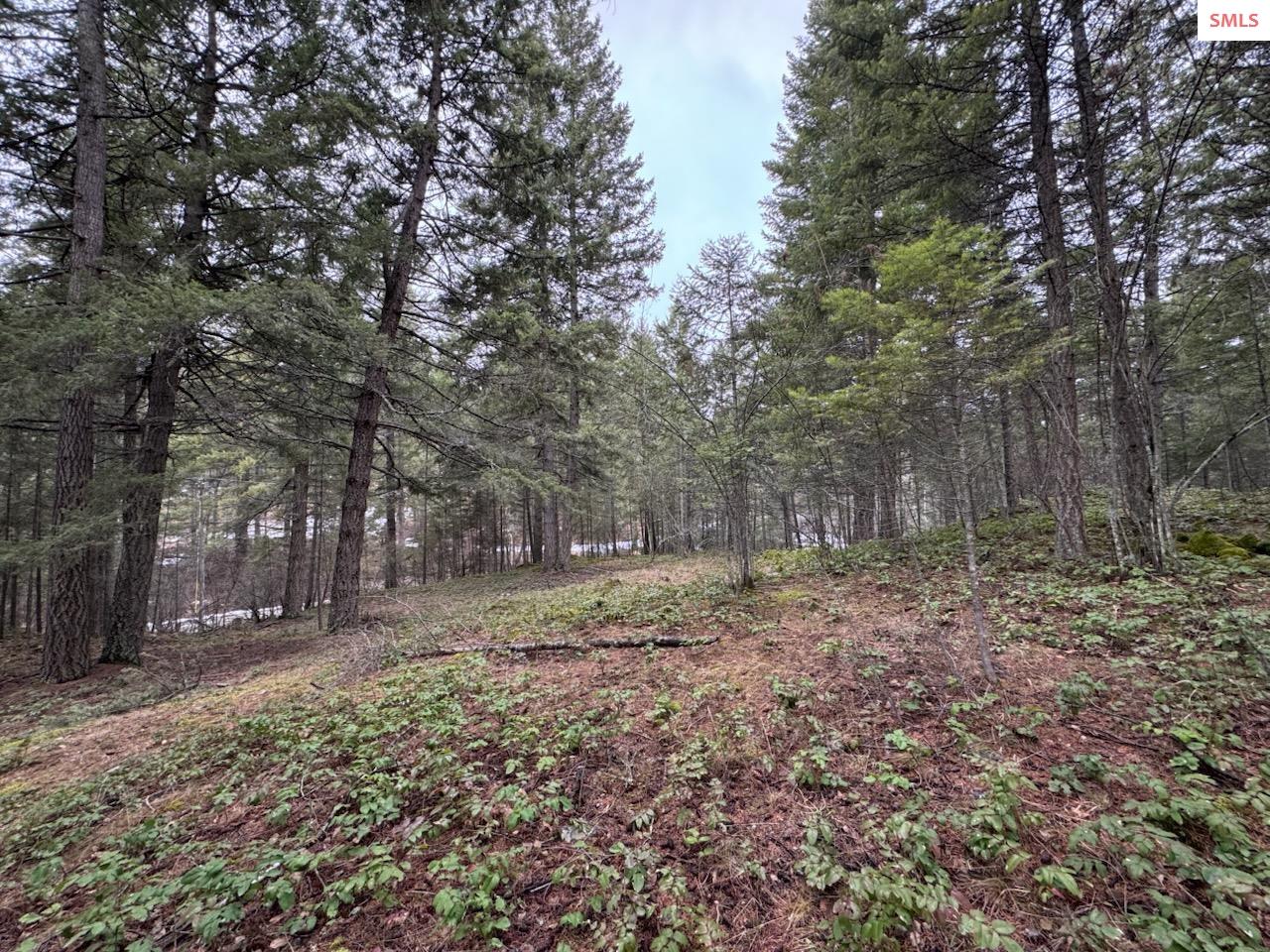 Lot 22 Blue Grouse Road Sagle, ID 83860 - Photo 22 of 42