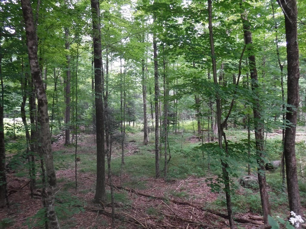 Lot 12 Vinton Road Sturbridge, MA 01566 - Photo 1 of 9
