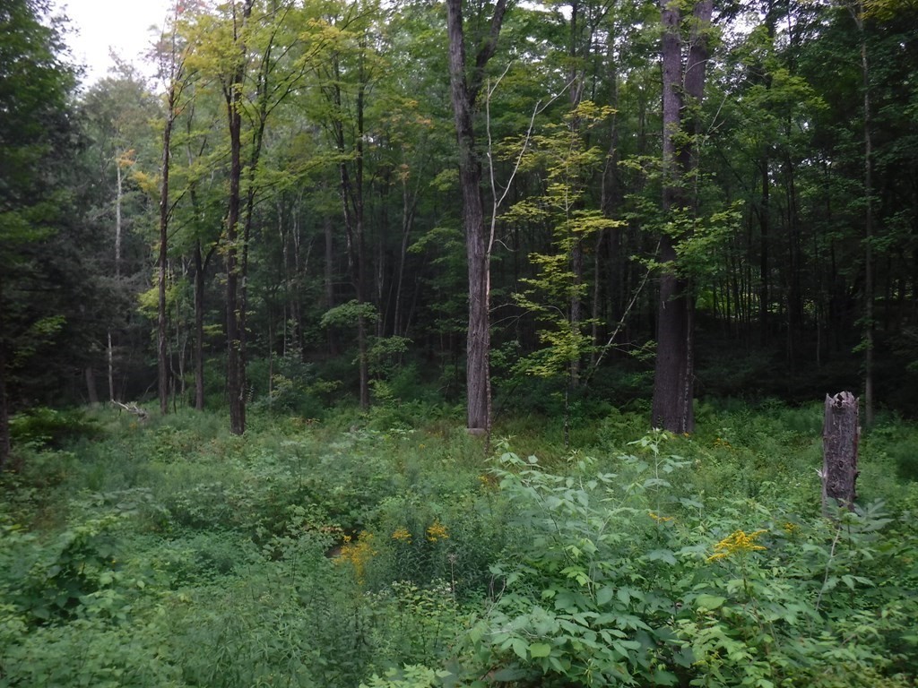 Lot 12 Vinton Road Sturbridge, MA 01566 - Photo 2 of 9