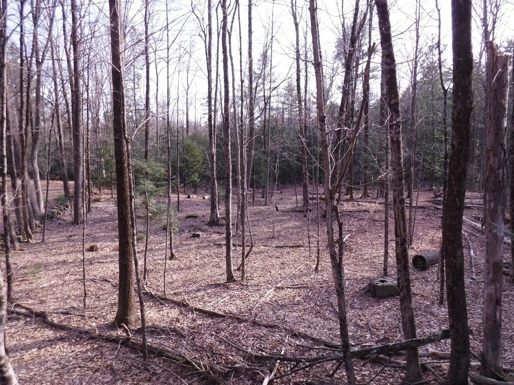Lot 12 Vinton Road Sturbridge, MA 01566 - Photo 3 of 9