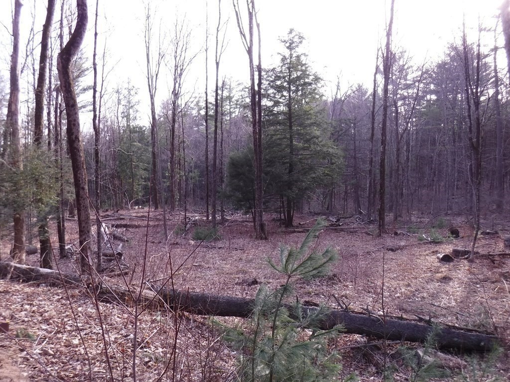 Lot 12 Vinton Road Sturbridge, MA 01566 - Photo 6 of 9