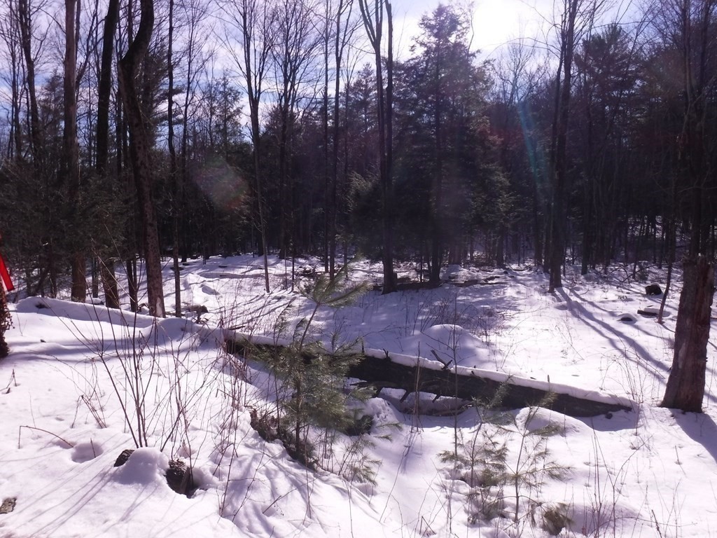 Lot 12 Vinton Road Sturbridge, MA 01566 - Photo 7 of 9