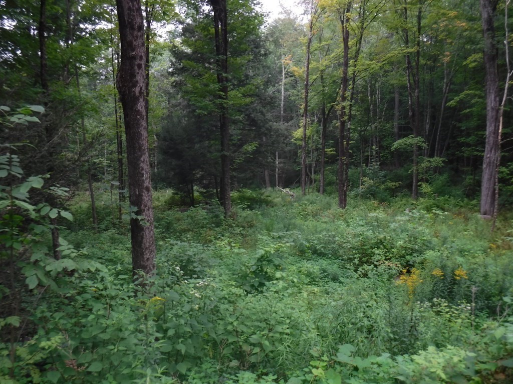 Lot 12 Vinton Road Sturbridge, MA 01566 - Photo 9 of 9