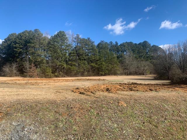 1356 Cobb Road Chatsworth, GA 30705 - Photo 3 of 10 IMG_2621