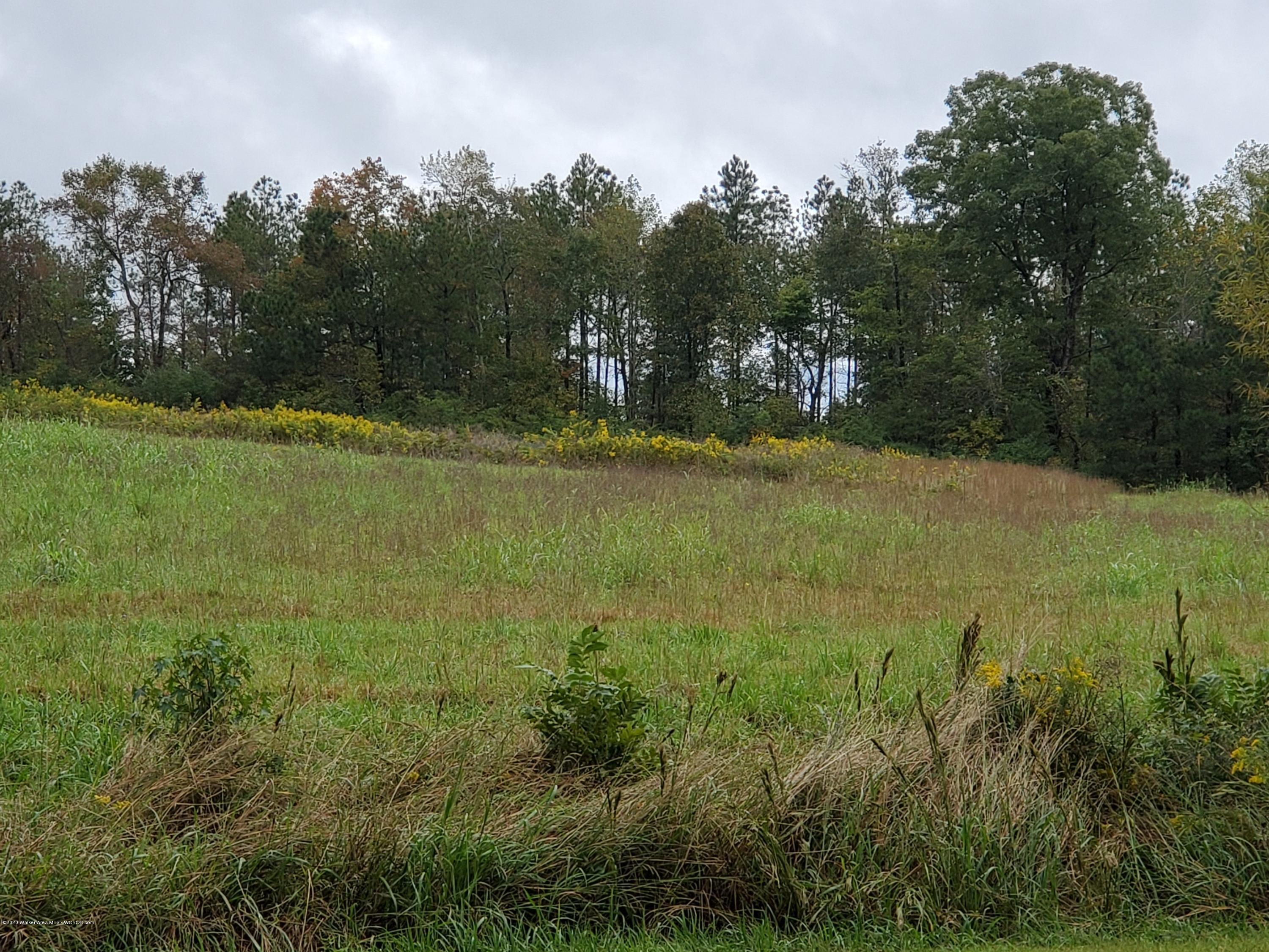 1625 Co Road Bremen, AL 35033 - Photo 3 of 5 Gallery Image 3