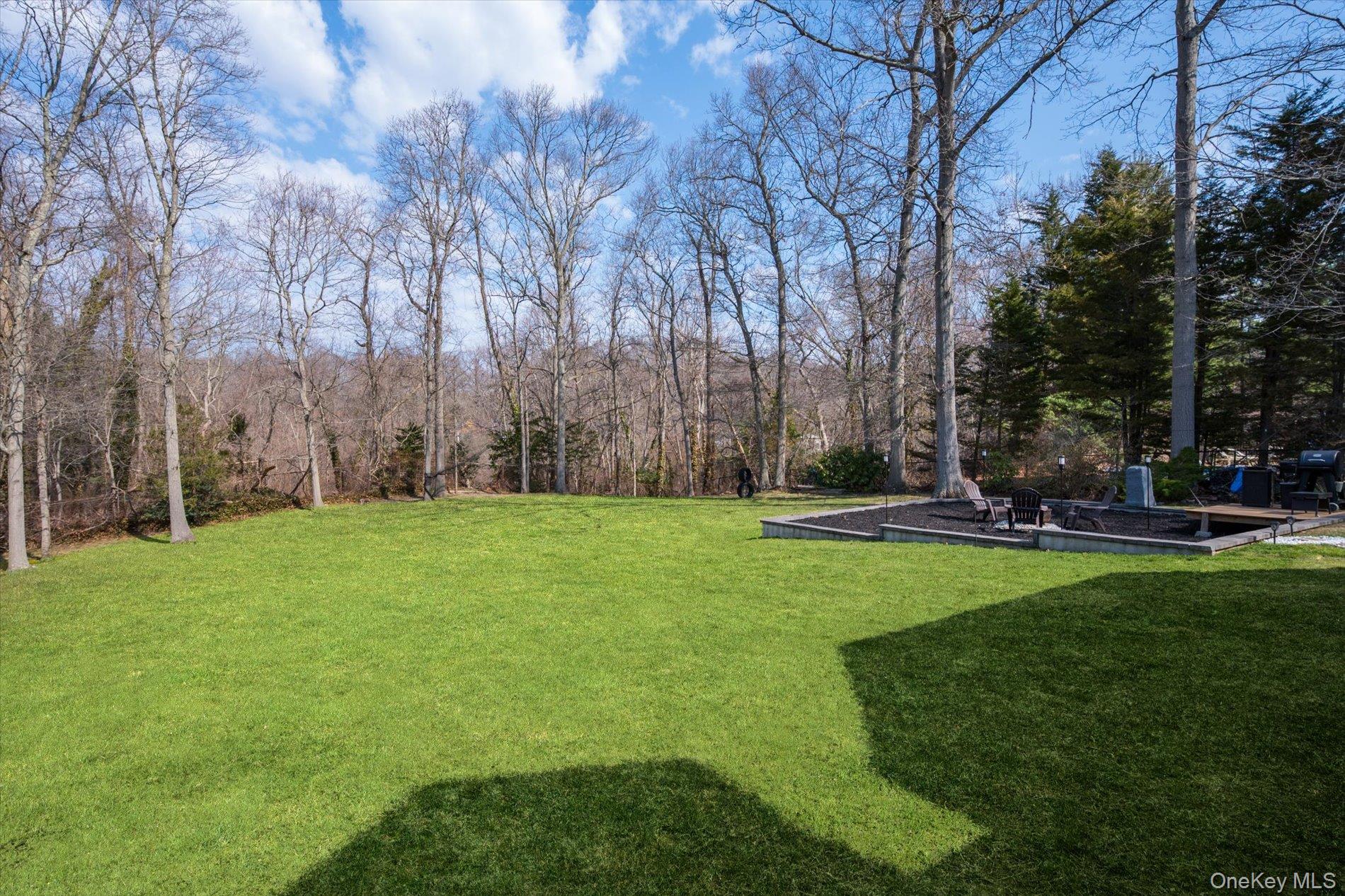 7 Riga Lane Melville, NY 11747 - Photo 29 of 33 a view of a backyard with large trees