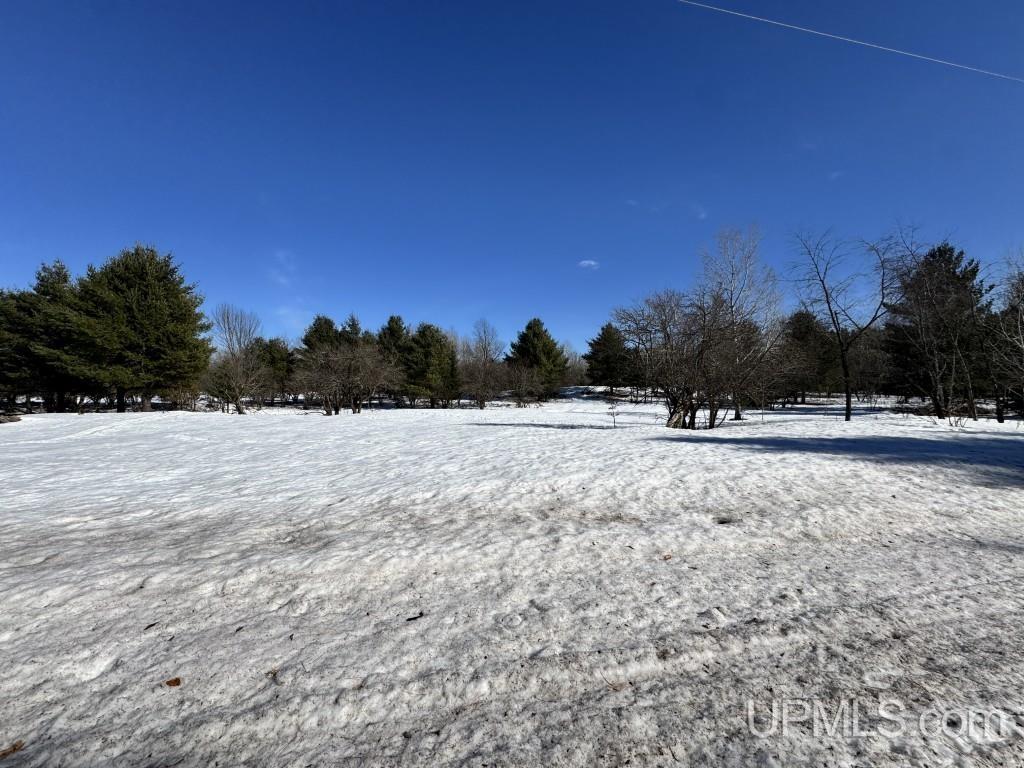 Tbd Bellaire Road Baraga, MI 49908 - Photo 20 of 20
