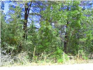 0 Duchess Road DeFuniak Springs, FL 32433 - Photo 1 of 2 Primary Photo