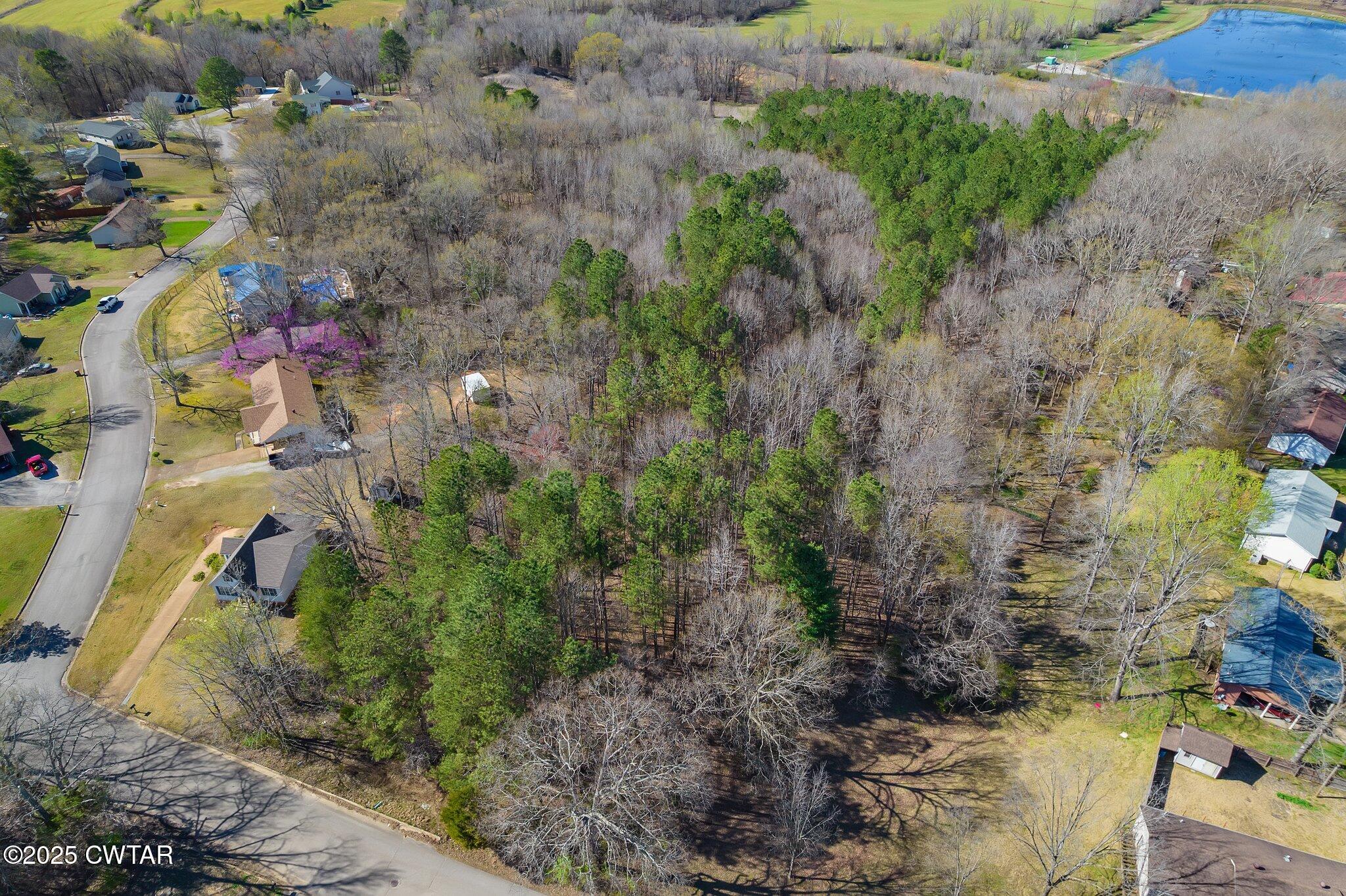 0 Dodd Street Lexington, TN 38351 - Photo 14 of 16 a view of a yard with plants and large trees