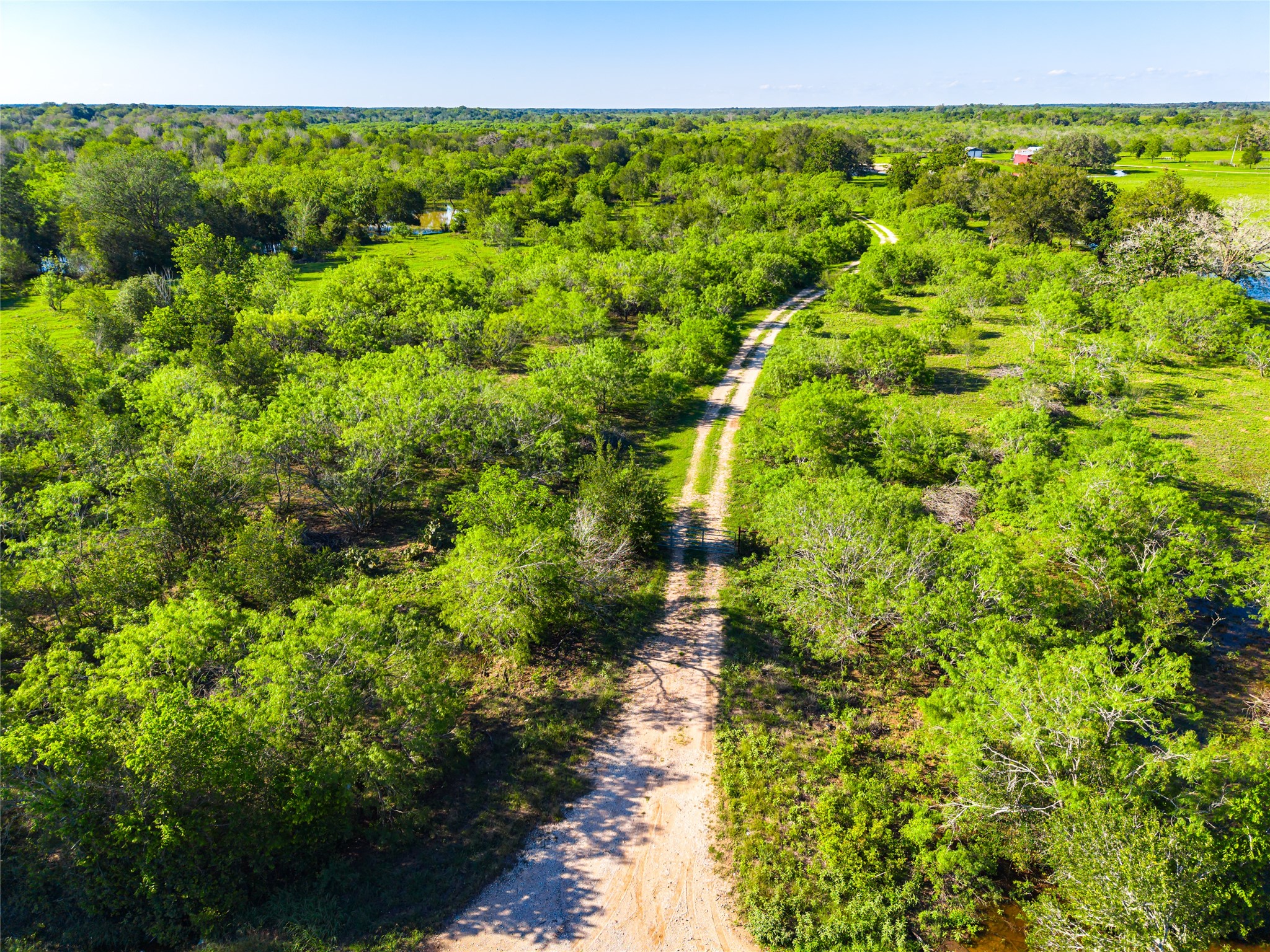 0 Sparta Field Road Waelder, TX 78959 - Photo 25 of 29 Gallery Image 25