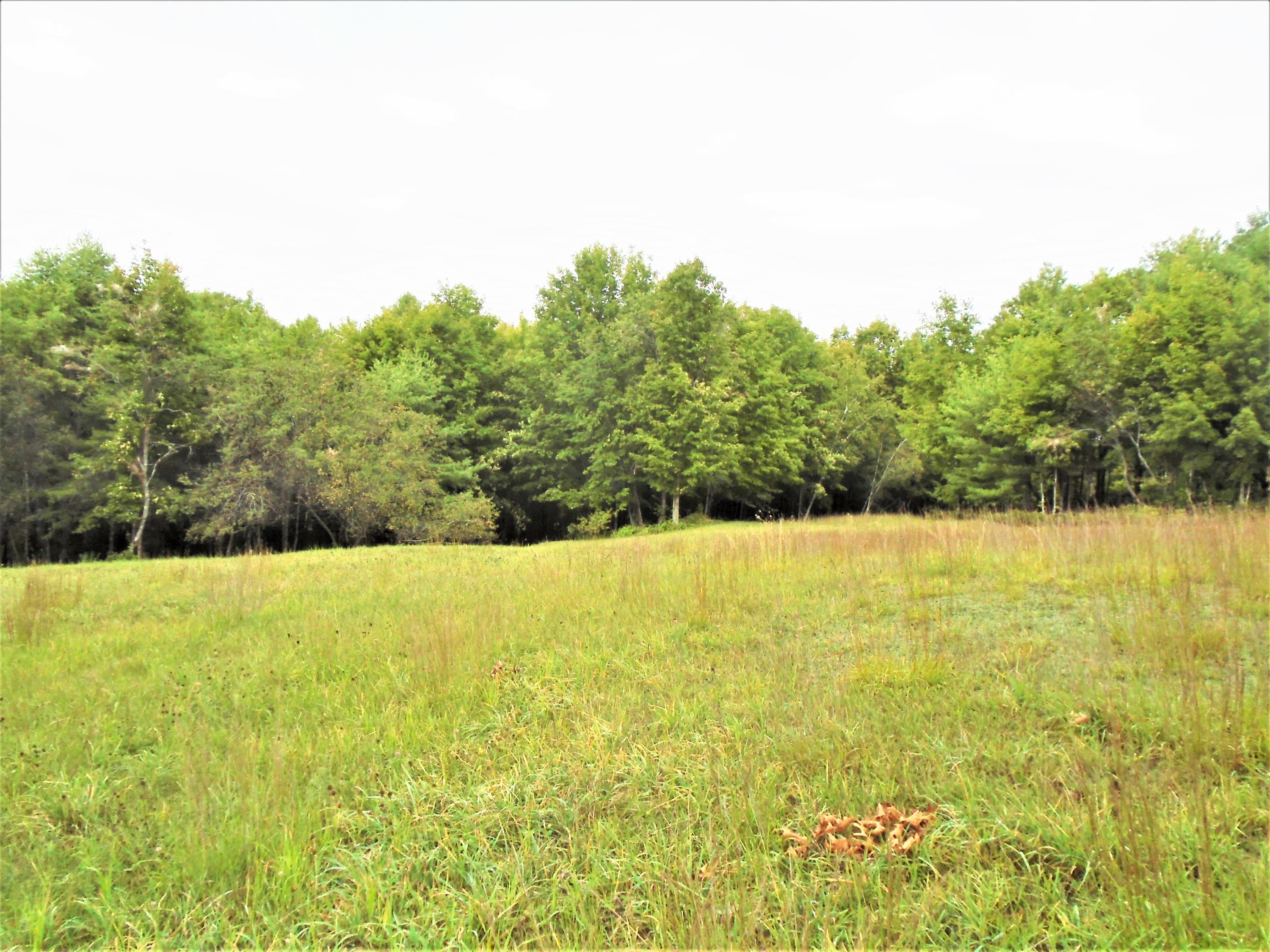 216 Sanborn Road Newfield, ME 04095 - Photo 17 of 33 DSC02101