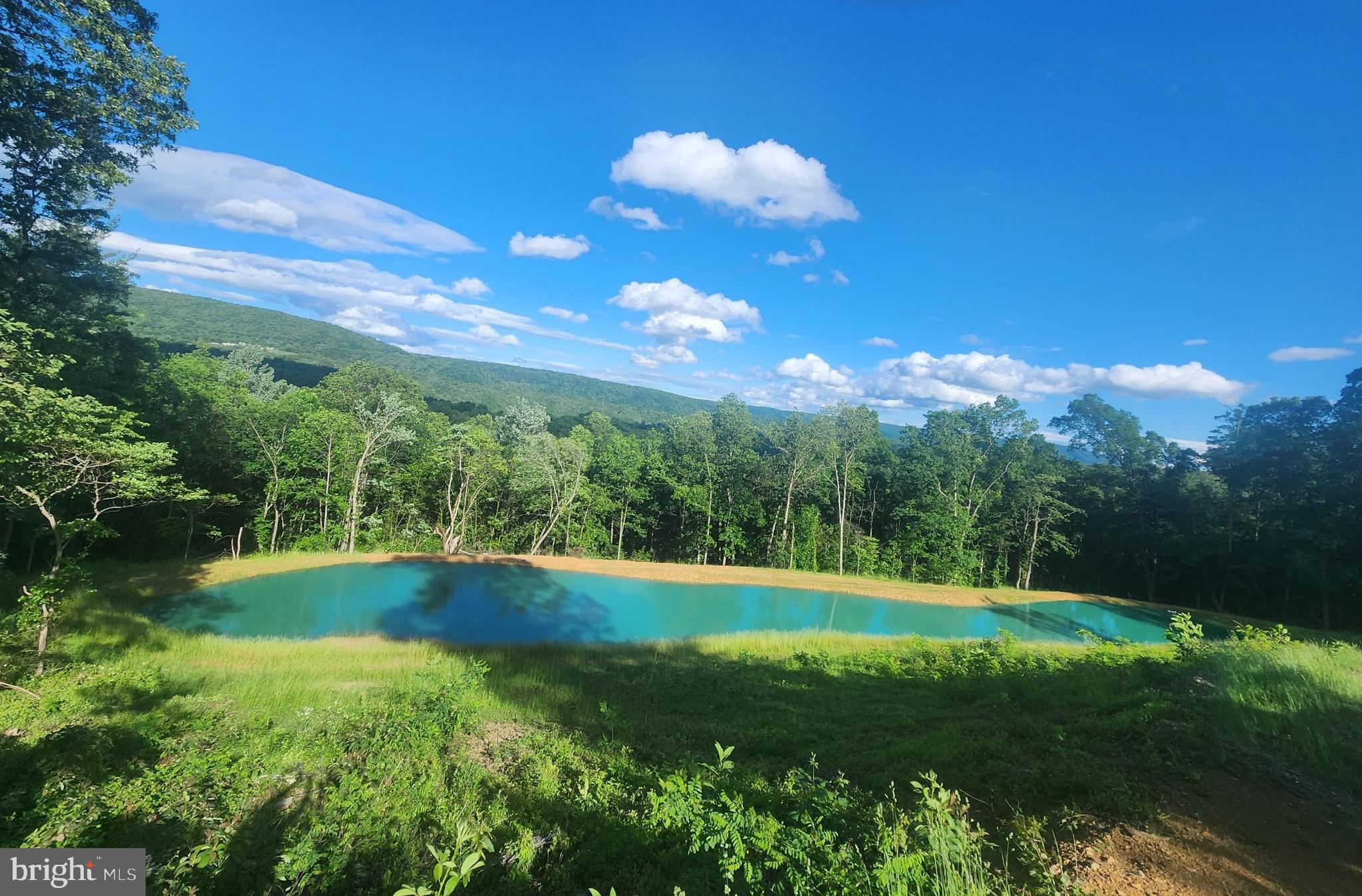 9580 Timber Ridge Road Big Cove Tannery, PA 17212 - Photo 54 of 56 Pond photo from last year
