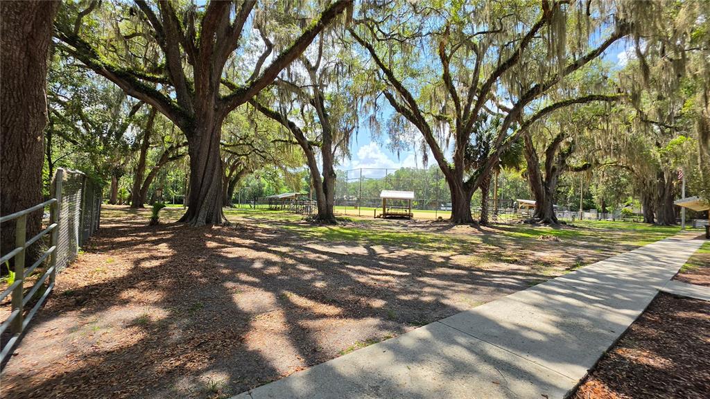 304 Northwest 5 Street Micanopy, FL 32667 - Photo 15 of 17