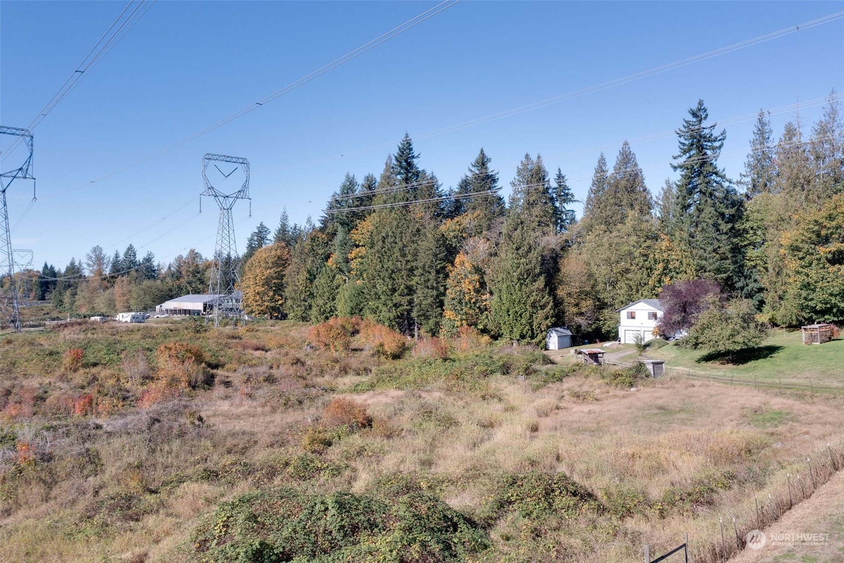 10021 Wagner Road Snohomish, WA 98290 - Photo 23 of 28 a view of a dry yard with trees